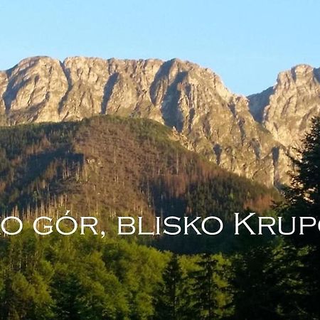 Willa Otulina Pod Giewontem Zakopane Exterior foto