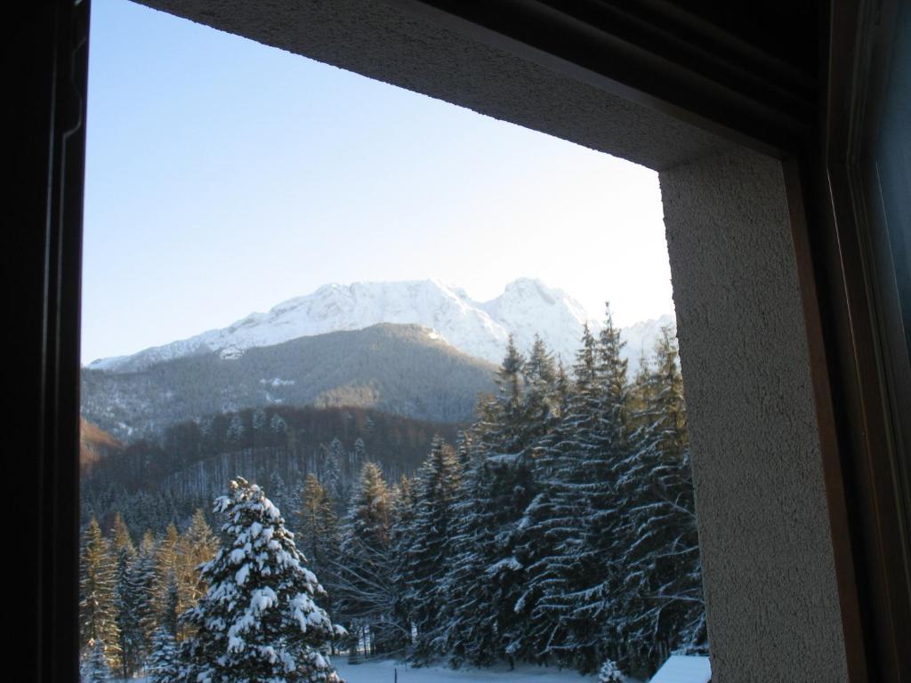 Willa Otulina Pod Giewontem Zakopane Zimmer foto